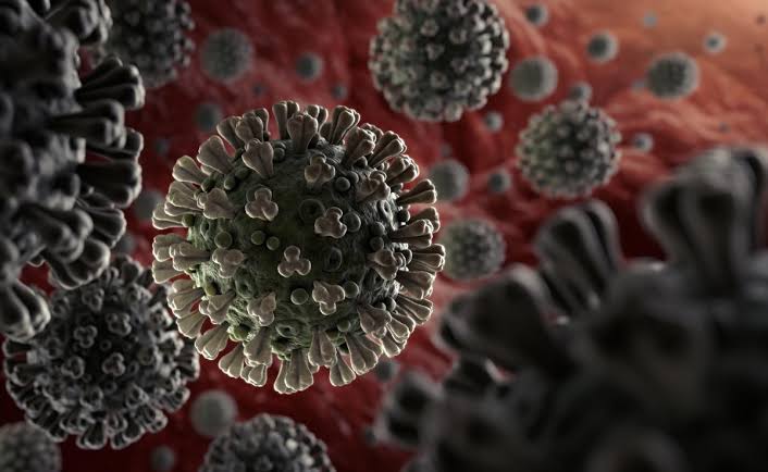 Pfizer and  BioNTech commence human trials for coronavirus vaccines in the US