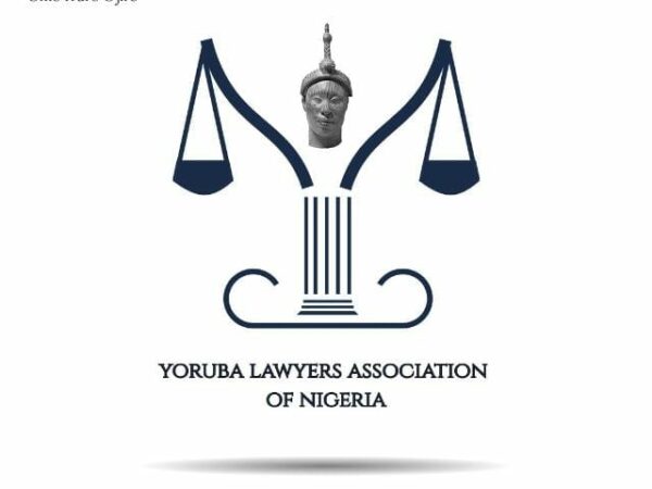 YOLAN Condemns Adeniyi Akintola’s Alleged Plot to Frustrate Olumide Akpata’s Administration